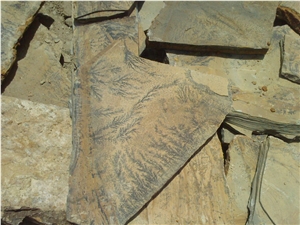 Fossile Limestone Flagstone