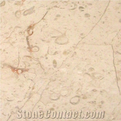 Blanco Marfil Marble Slabs & Tiles, Mexico Beige Marble