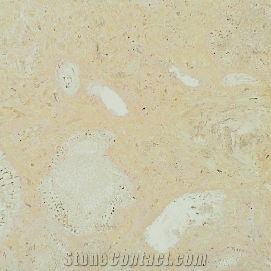 Mexican Coral Stone Tile, Mexico Beige Coral Stone