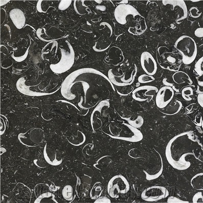 Feibei Flower Marble,Sea Shell Marble Tile,China Black Marble