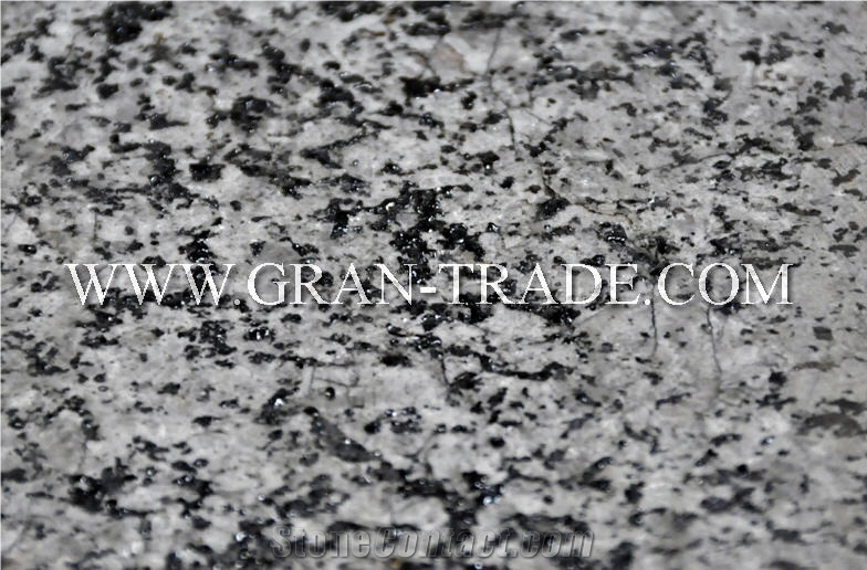 Boguslavsky Granite Tile,Ukraine Grey Granite