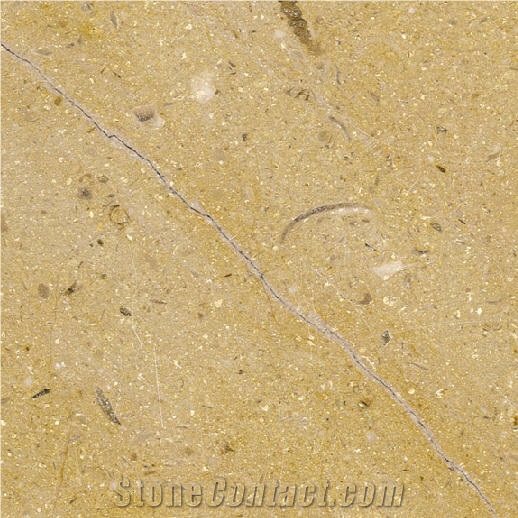 Sinai Limestone Tile,Egypt Yellow Limestone