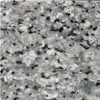 Nehbandan Cream Granite Tile,Iran Beige Granite