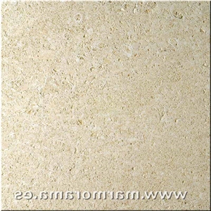 Amarillo Fosil Limestone Tiles Used for Building & Walling