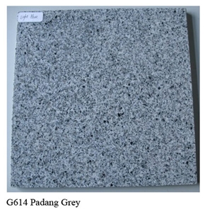 G614 Granite,Padang Grey Granite Tile