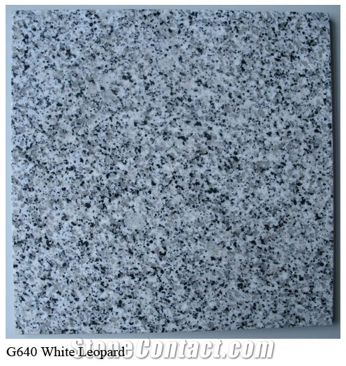 G640 Granite Tile,White Leopard Granite