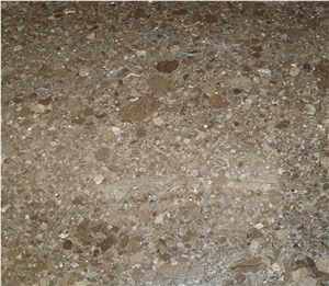 Brown Pearl Marble (Fine Grain)