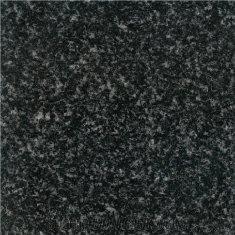 Black Bingzhou Granite Slabs & Tiles