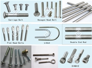 Stainless Steel Bolt Nut