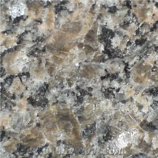 Caledonia Granite Slabs & Tiles, Canada Brown Granite