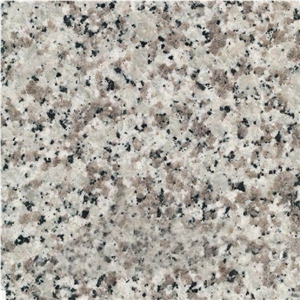 G439 Big White Flower Granite Tile,China Grey Granite