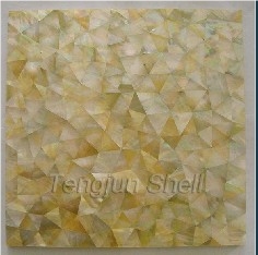 Shell Mosaic Tiles Crazy Triangular