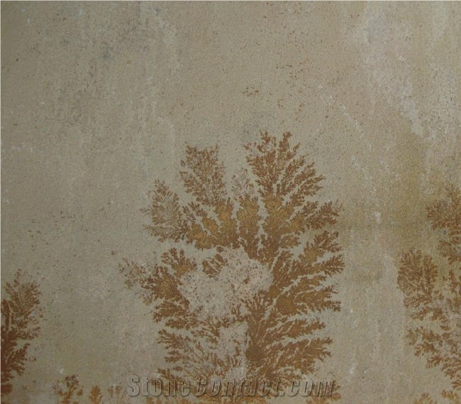 Fossil Mint Sandstone Tile,India Beige Sandstone