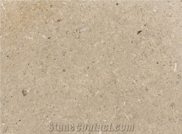 Saint Maximin Fine Limestone Tile,France Beige Limestone