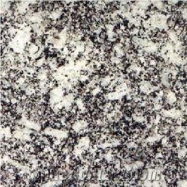 Negro Celta Granite Slabs & Tiles,Spain Grey Granite
