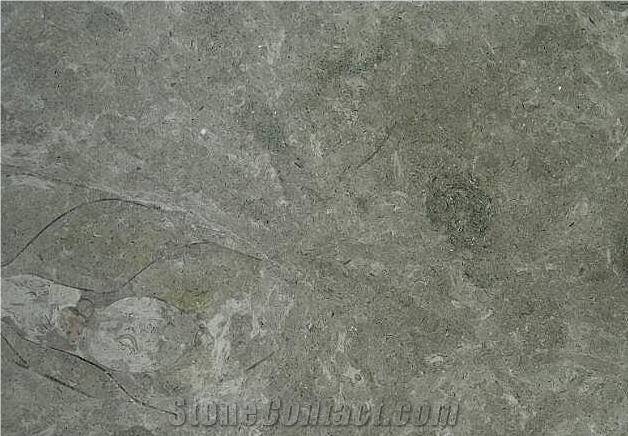 Oeland Gra G2 Limestone Tiles,Sweden Grey Limestone