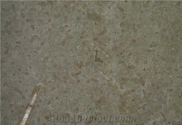 Oeland Gra G2h Limestone Tile,Sweden Grey Limestone