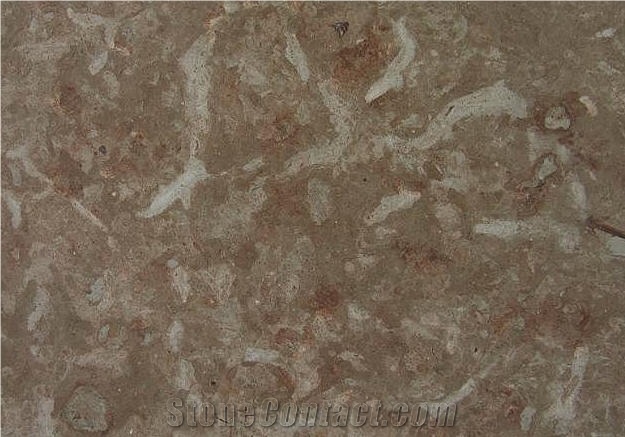Oeland Graflammig Limestone Tiles, Sweden Brown Limestone