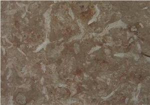 Oeland Graflammig Limestone Tiles, Sweden Brown Limestone