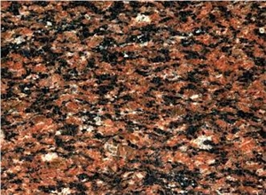 Brown Nut Granite Slabs & Tiles