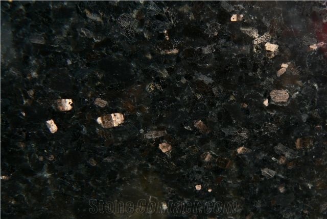 Star Galaxy Black Granite Slabs & Tiles