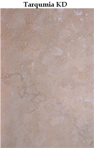 Tarqumia KD Limestone Slabs & Tiles,Palestine Beige Limestone