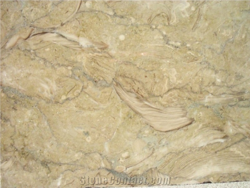 Fossil Beige Marble Tile