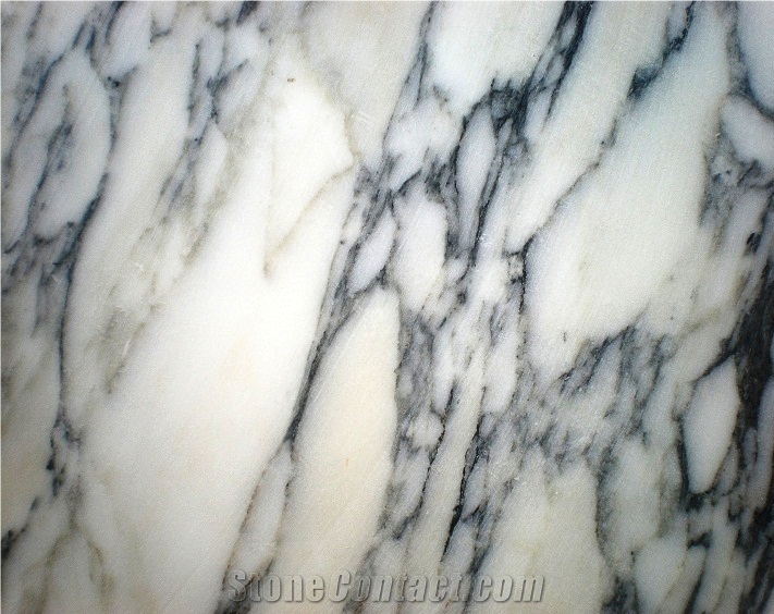 Arabescato Corchia Marble Slabs & Tiles,Italy White Marble