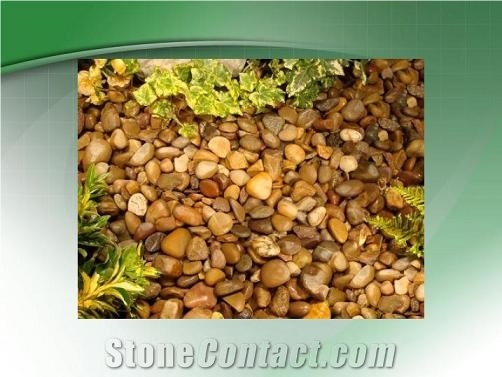 Garden Pebble Stone