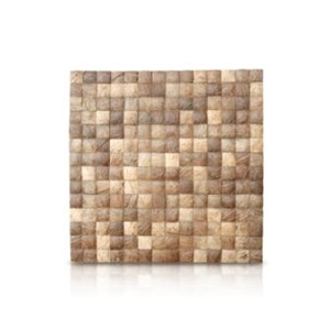 Coco Shell Limestone Classic Mosaic Collection