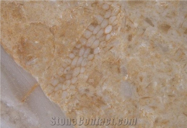Giallo Tafouk Limestone Tile, Israel Yellow Limestone