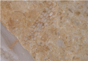Giallo Tafouk Limestone Tile, Israel Yellow Limestone