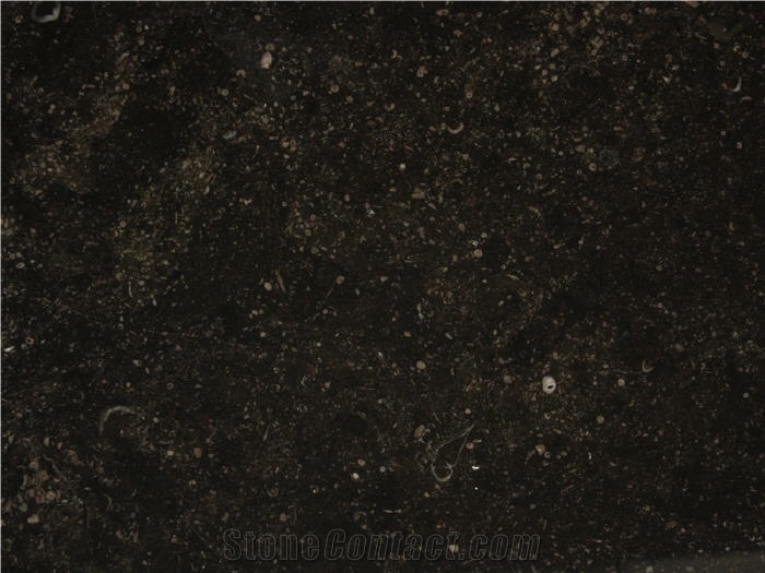Petit Granit Black Limestone Tile