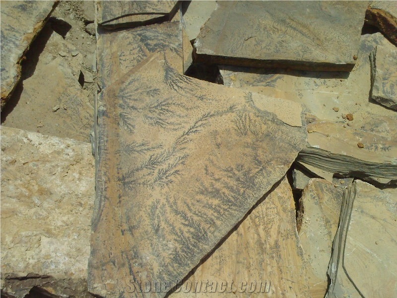 Fossil Stone, Beige Quartzite Flagstone
