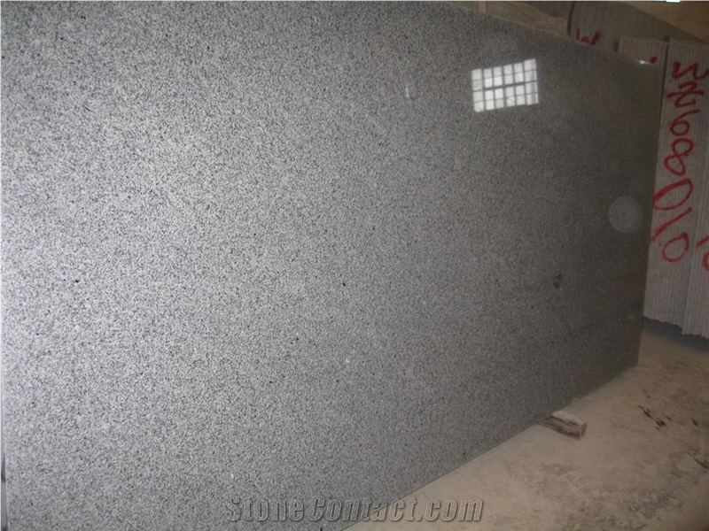 Bella White Granite, G603 Granite Slabs & Tiles from China
