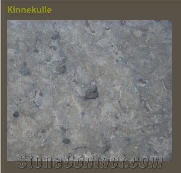 Kinnekulle Gray Limestone Tiles, Sweden Grey Limestone