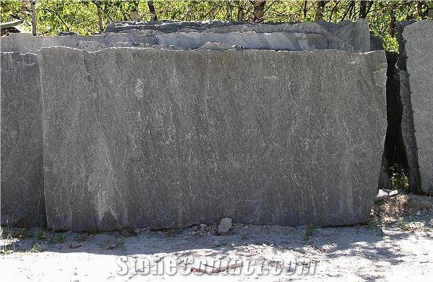 Maggia Boschetto Granite Slab,Switzerland Grey Granite