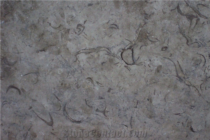 Melly Gray Marble Slabs & Tiles, Grey Polished Marble Floor Tiles, Wall Tiles