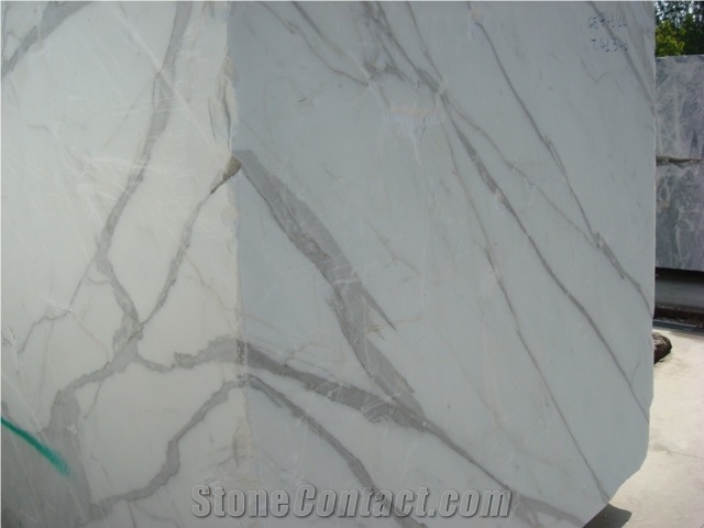 Statuario Extra Marble Slab,Italy White Marble