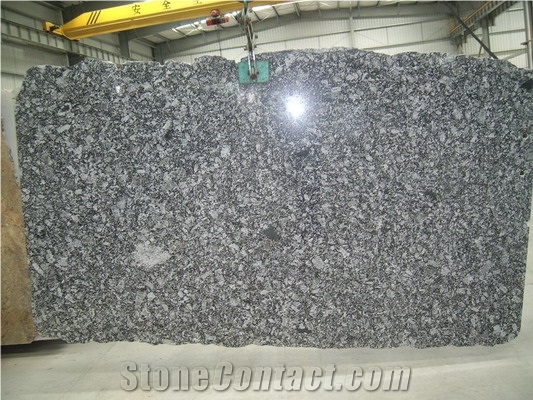 Oyster Pearl Granite Slab, Chinese Granite