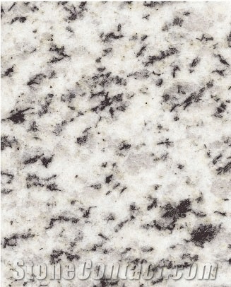 Halaied White Granite Slabs & Tiles