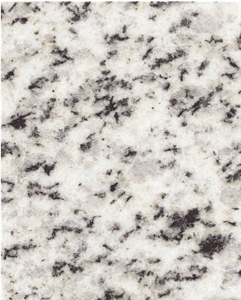 Halaied White Granite Slabs & Tiles