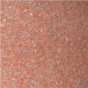 Ruby Red Granite Slabs, Jhansi Red Granite Slabs