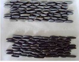 Black Stand Pebble on Mesh
