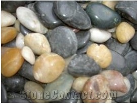 Mixed Decorative Natural Pebble Stone