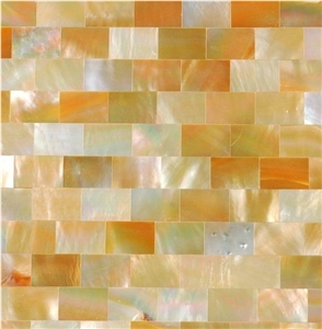 Natural Sea Shell Mosaic