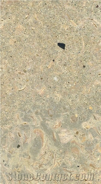 Estavayer Muschelkalk W, Limestone Slabs & Tiles