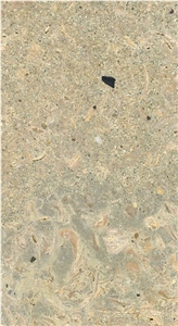 Estavayer Muschelkalk W, Limestone Slabs & Tiles
