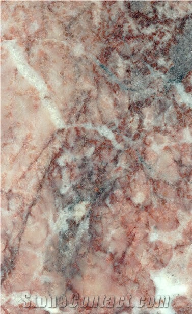 Rosso Prezioso Marmor W, Marble Slabs & Tiles