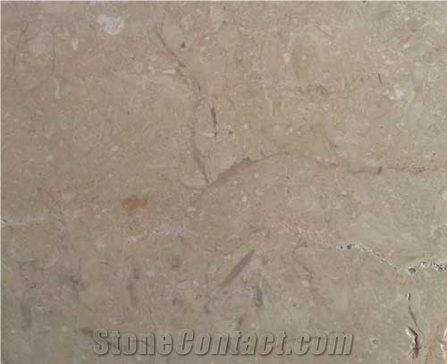 Tarsus Cream Limestone Slabs & Tiles,Turkey Beige Limestone